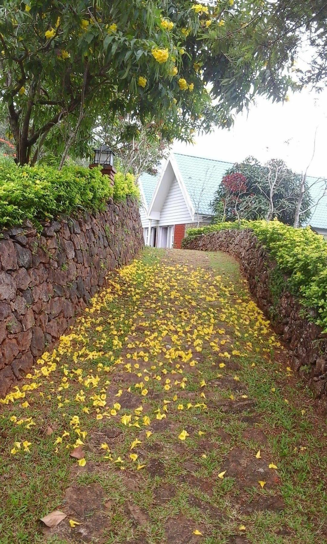 Ambady Estate Hotel Munnar Exterior photo