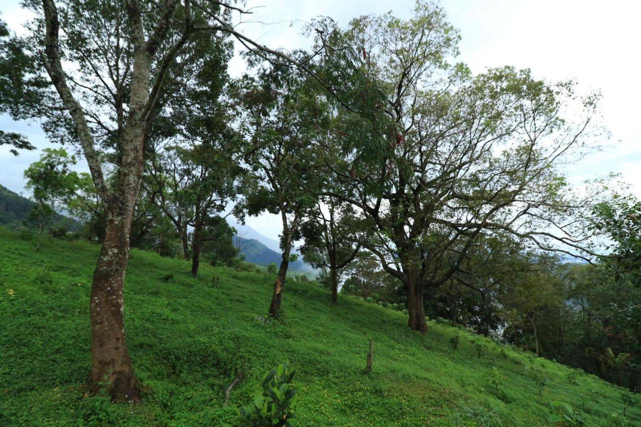 Ambady Estate Hotel Munnar Exterior photo